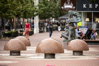 Fountain_Mushrooms_R.Parafinavicius_photo.png