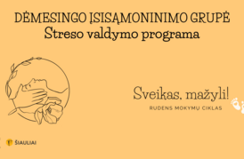 Dėmesingo įsisąmoninimo/mindfulness streso valdymo grupė