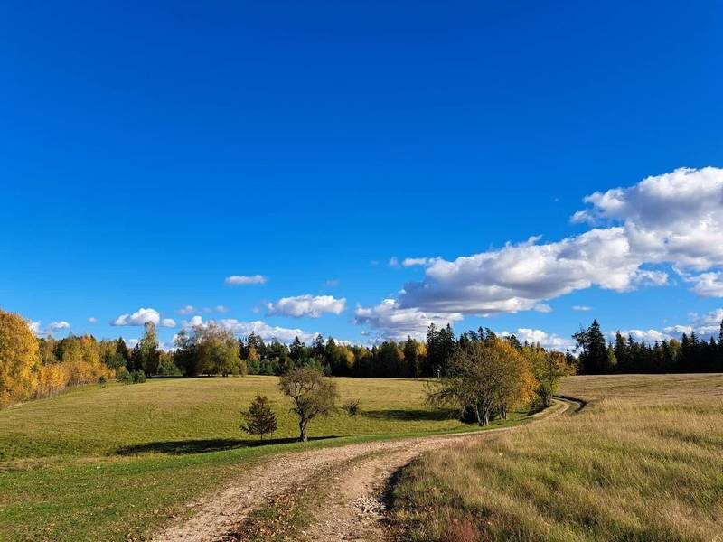 EKSKURSIJA-ŽYGIS „SVILĖ. AKMENYS IR ŠALTINIAI“